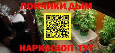 apvp Бийск