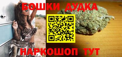 apvp Бийск